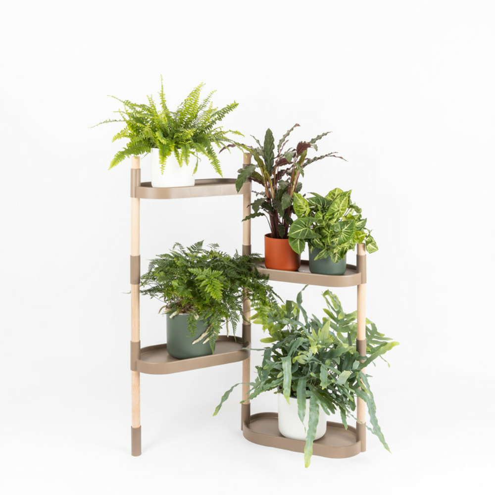 Étagère pour plantes, couleur écorce de pin, avec 4 plateaux.