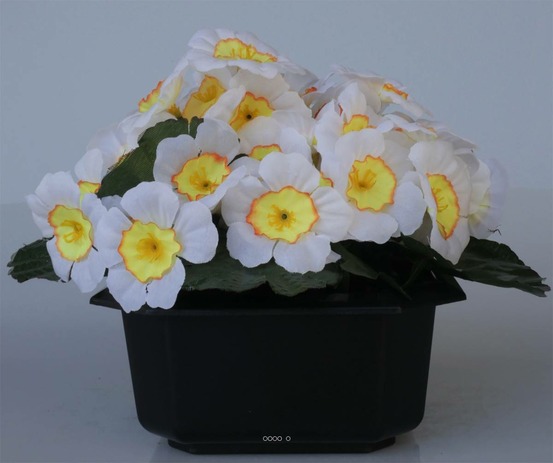 Composition fleurs artificielles cimetière pot carré primevères h17 cm d24 cm bl