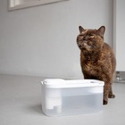 Fontaine à eau pour chat blanc