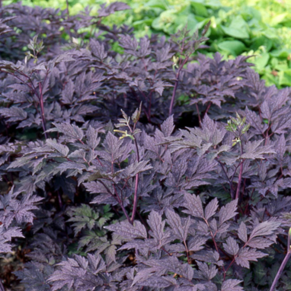 Cierge d'argent brunette lot de 3 godets