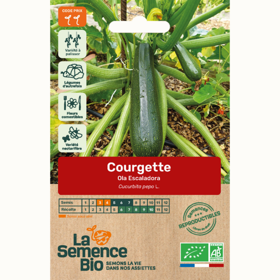 Courgette ola escaladora - graines bio