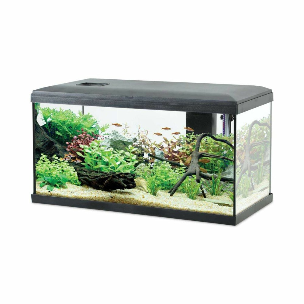 Kit aquarium eau douce avec éclairage et filtres initio 54 litres noir