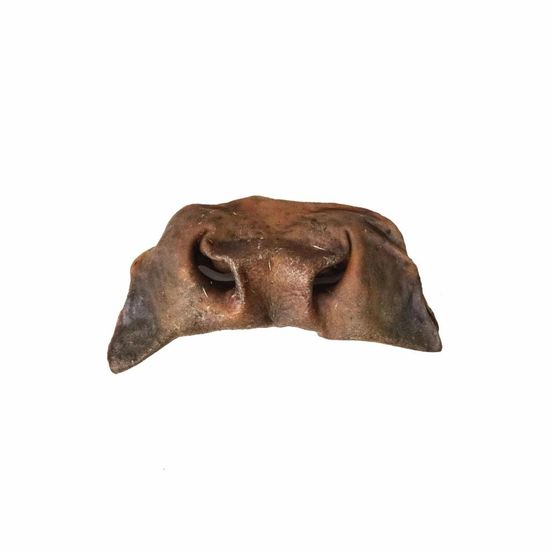 Museau de boeuf – mastication gourmande xxl pour chiens