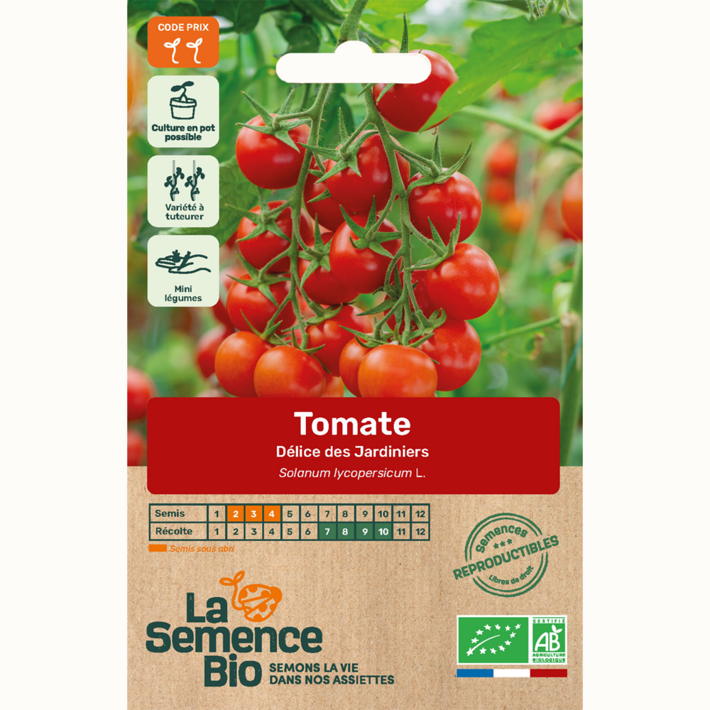 Tomate délice des jardiniers - graines bio