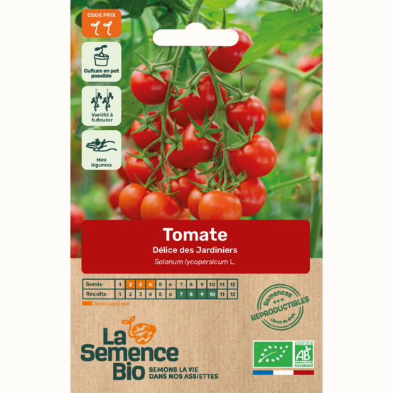 Tomate délice des jardiniers - graines bio