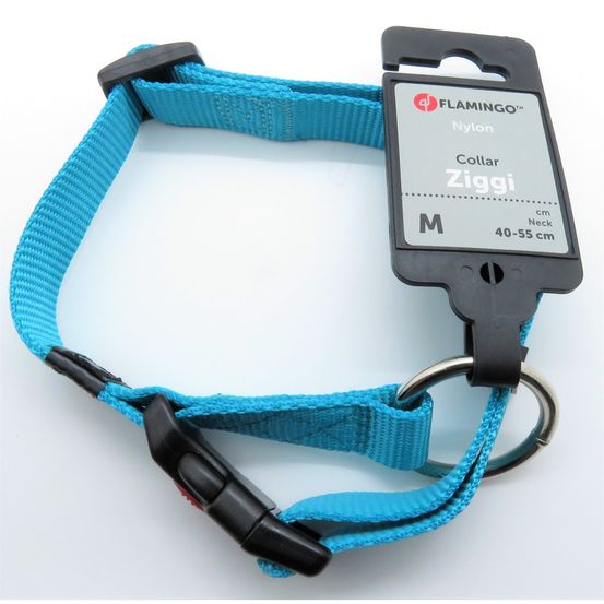 Collier ziggi turquoise 40 -55 cm. 20 mm . Taille m. Pour chien.