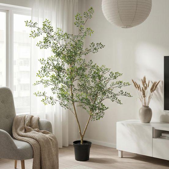 Bucida plante artificielle - h71 cm - ø17 cm