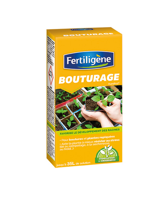 Bouturage - flacon de 70 ml