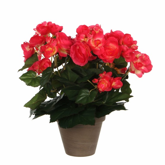 Mica decorations plante artificielle bégonia - h30 cm - rose foncé