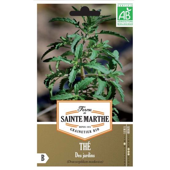 Dracocéphale de moldavie le sachet de 80 graines environ