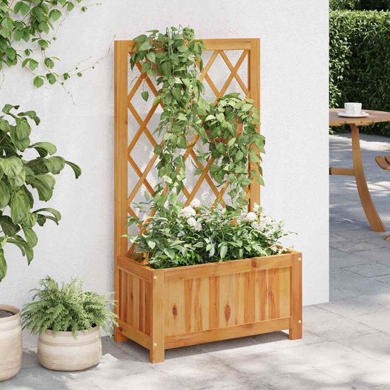 Jardinière avec treillis en bois d'acacia pour plantes grimpantes jardin