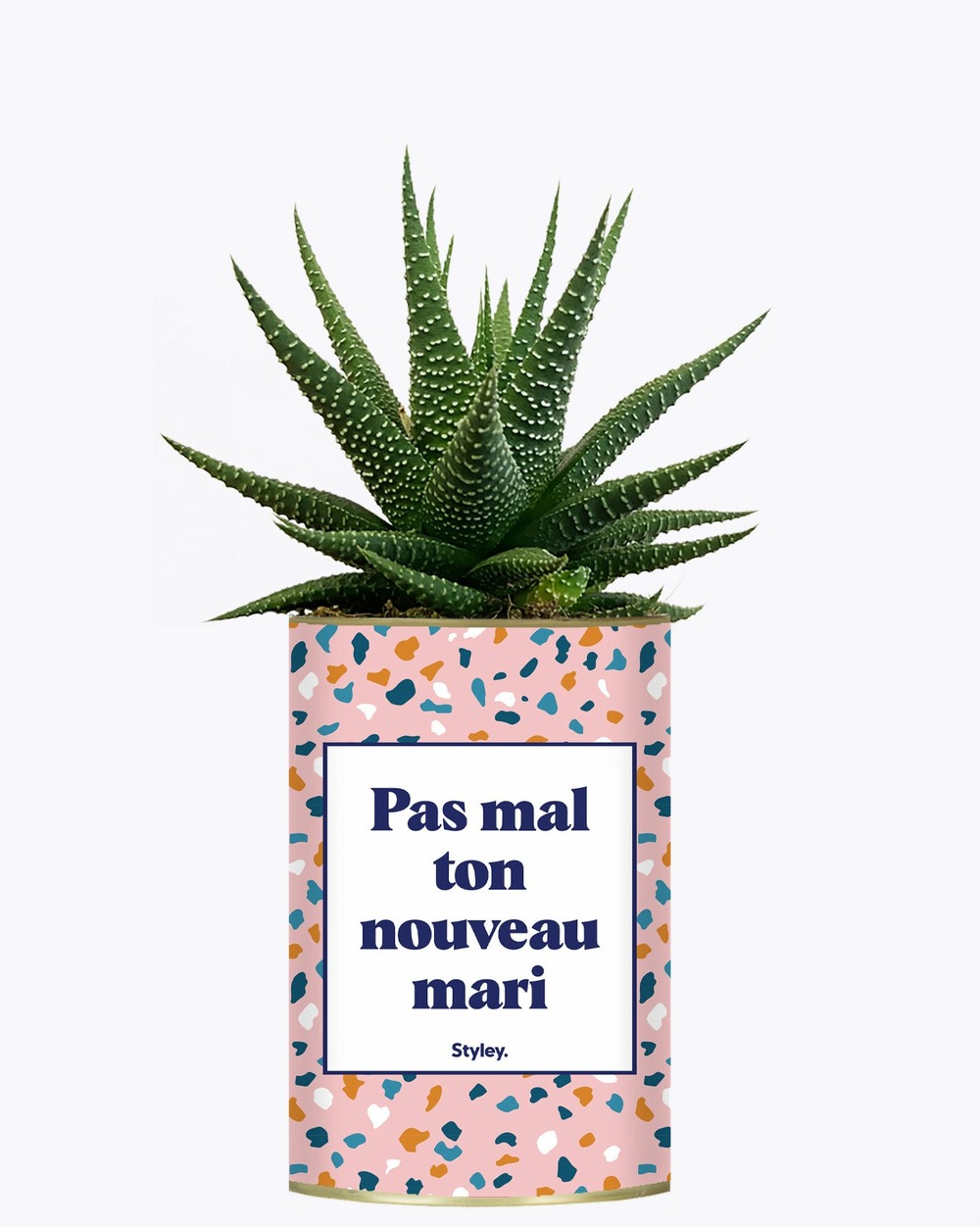 Plante personnalisée - pas mal ton nouveau mari - plante