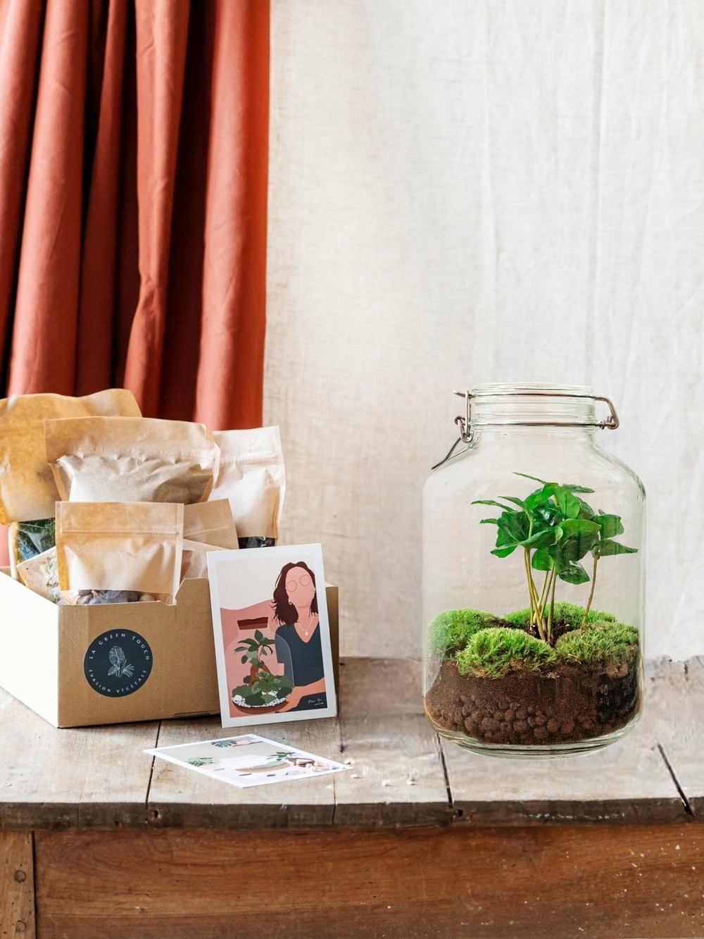 Kit terrarium diy - oslo - caféier