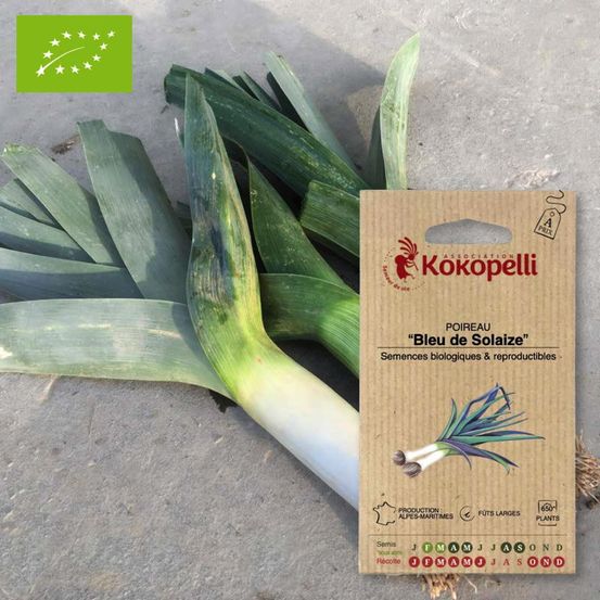 Poireau bleu de solaise- graines bio à semer
