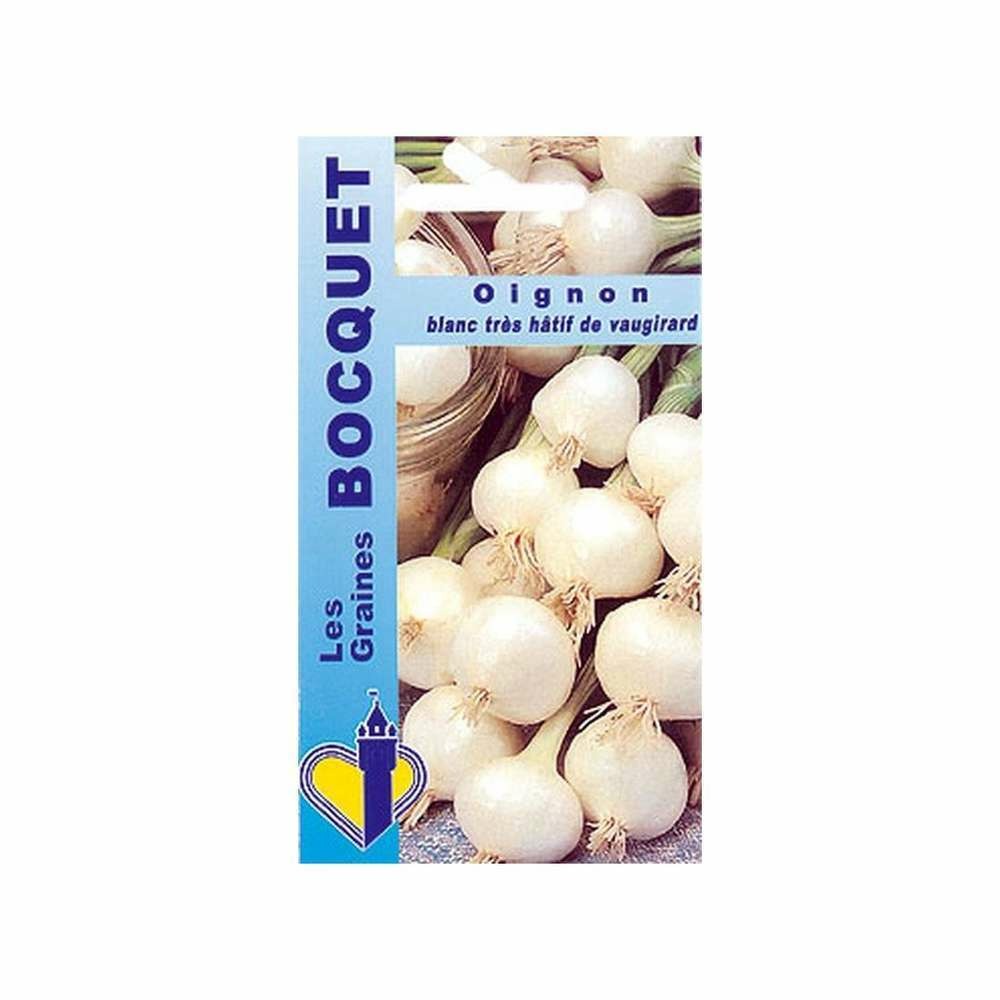 Graines d'oignon blanc très hâtif de vaugirard