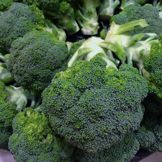 Graines de chou brocoli verdia hf1 - vilmorin sachet