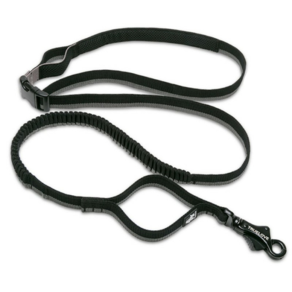 Longe élastique chien Capture - Taille M élastique entre 140 et 200 cm - Noir