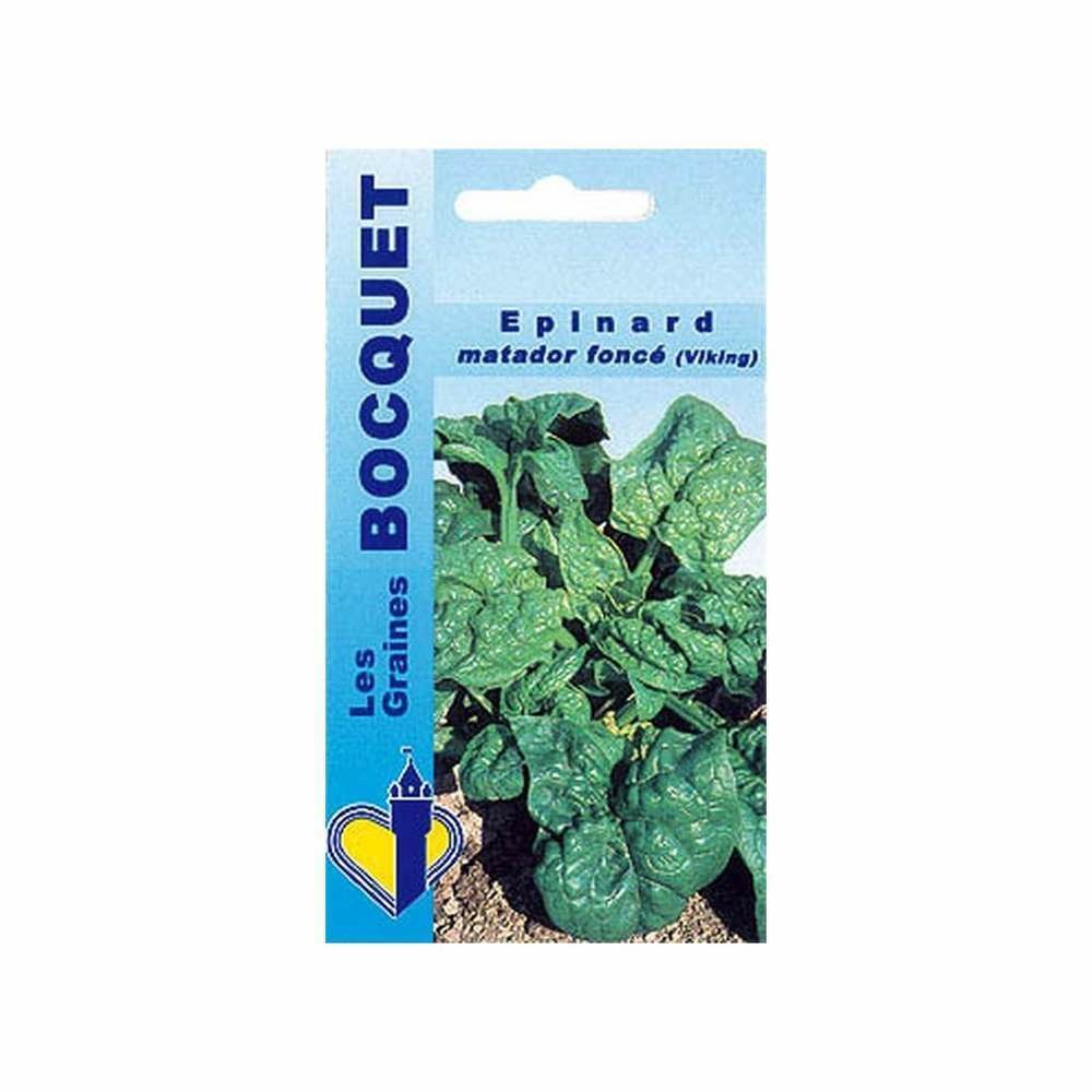 Graines d'épinard matador foncé (viking)