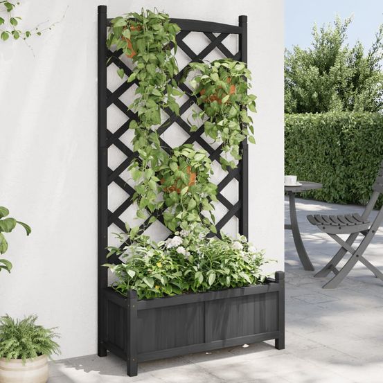 Jardinière avec treillis arqué bois de sapin pour plantes grimpantes noir 150cm