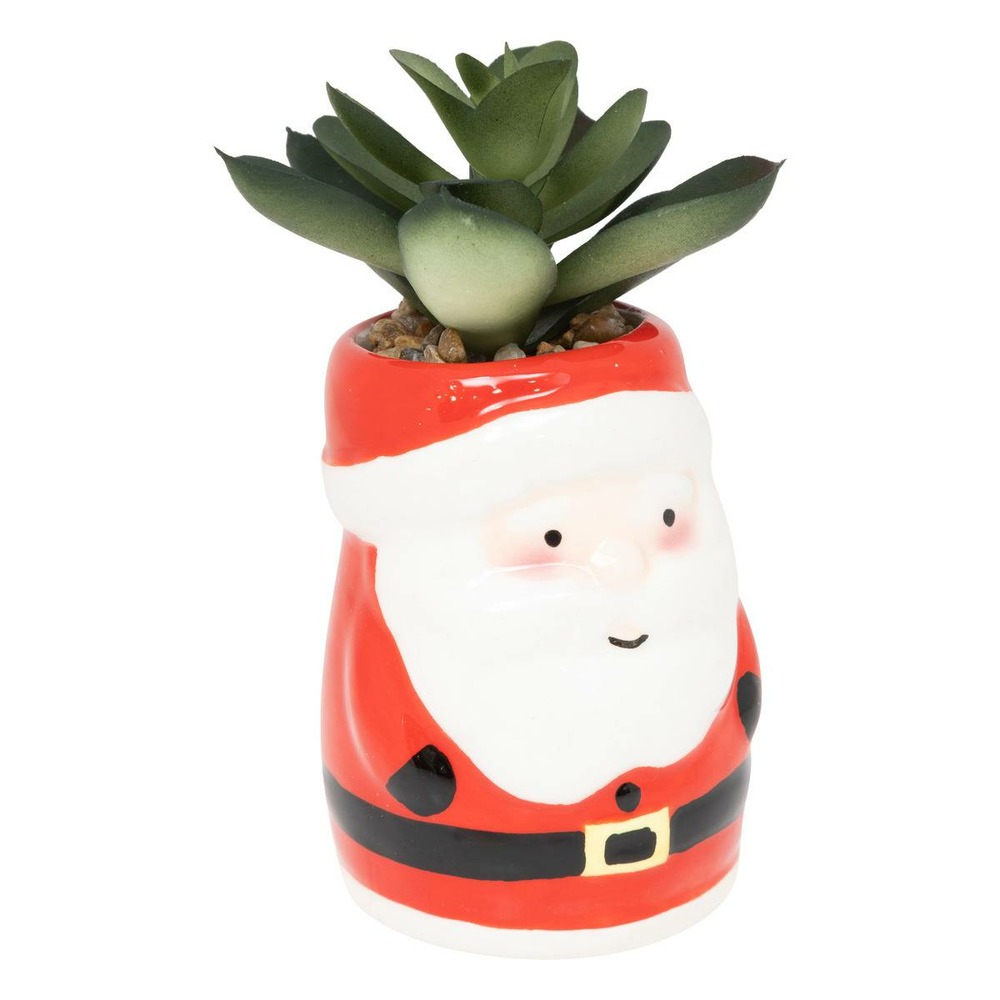 Plante pot noel h11 2ass