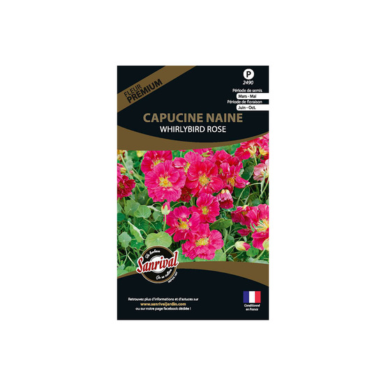 Graines de fleurs premium capucine naine whirlybird rose