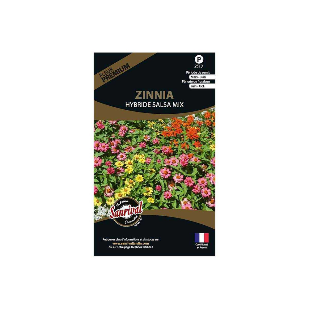Graines de fleurs premium zinnia hybride salsa mix