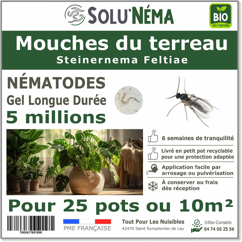 Solunéma - Mouches du terreau 5 millions Nématodes -  (SF)