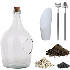 Kit terrarium végétal à faire soi-même diy 3 litres