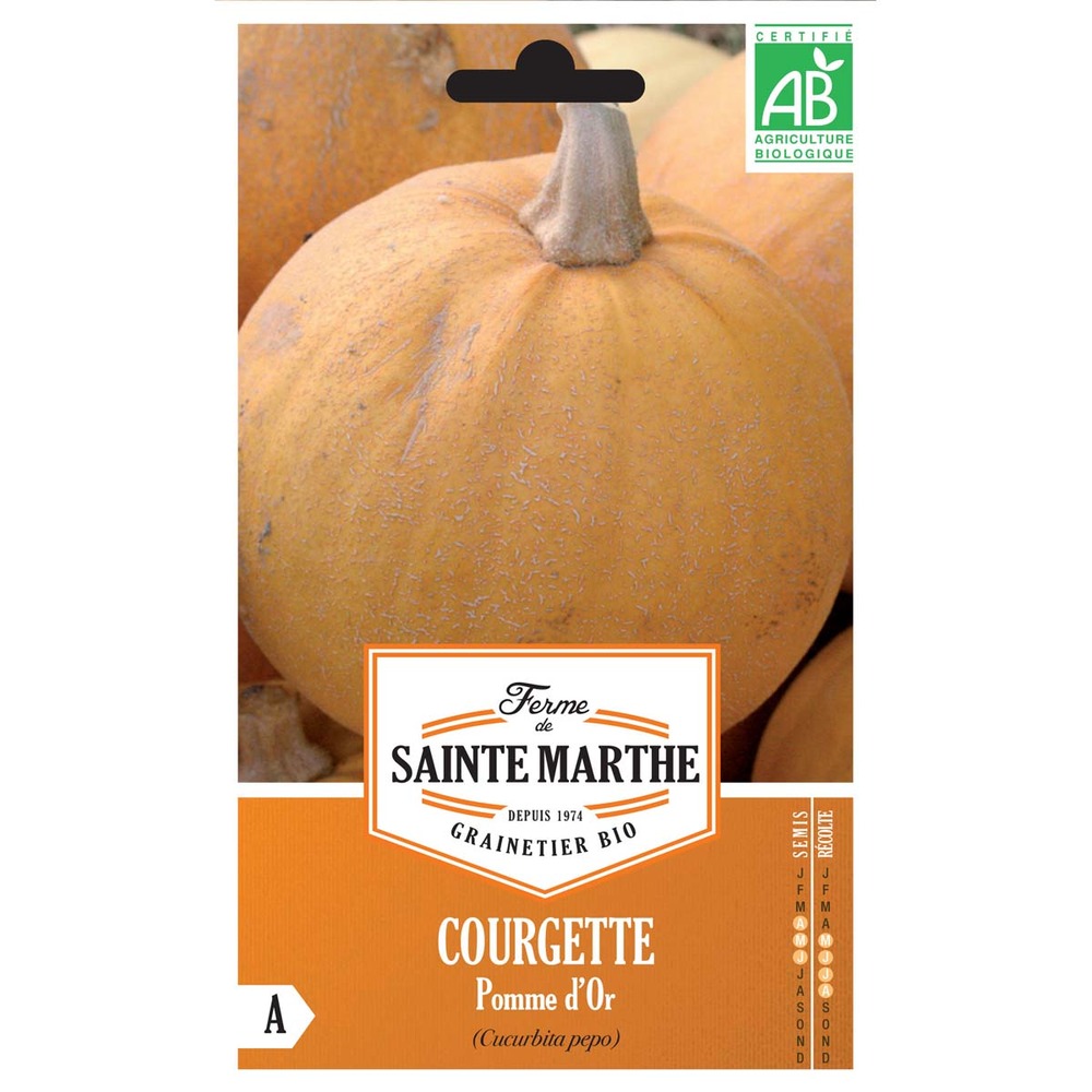 Courge 'pomme d'or' le sachet de 10 graines environ