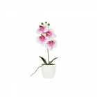 Orchidée artificielle blanc-fuchsia 35cm