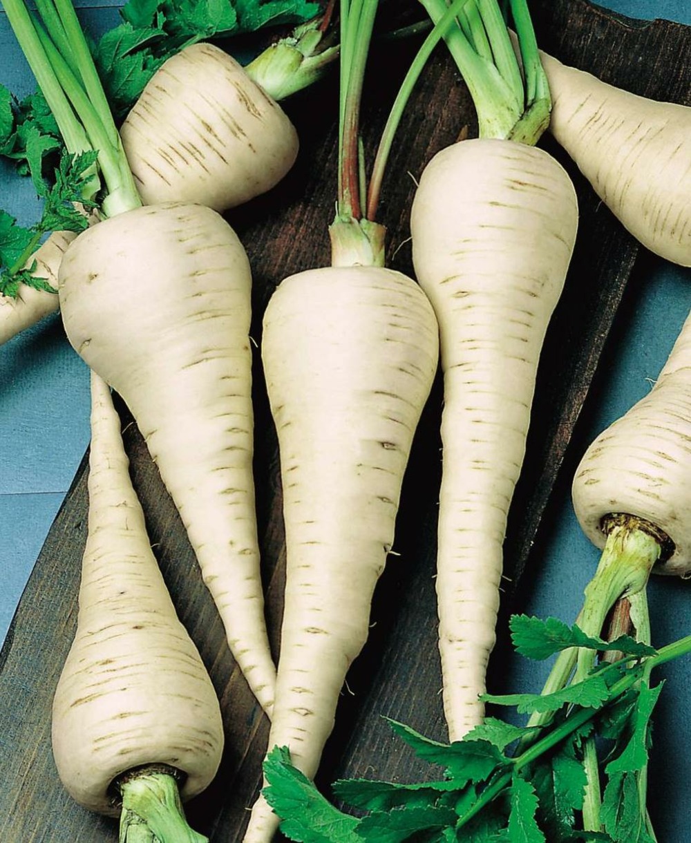 Panais demi long de guernesey - 5 g