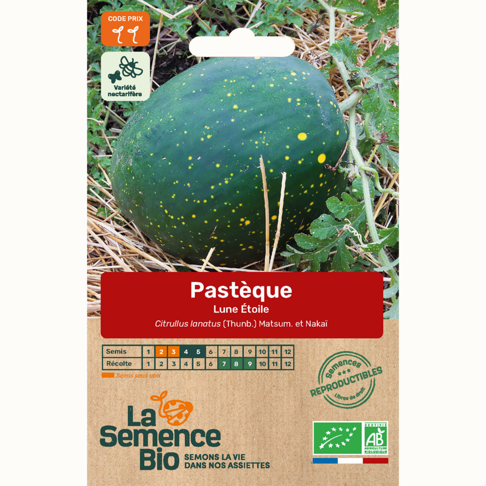 Pastèque lune étoile - graines bio