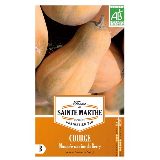Courge musquée 'sucrine du berry ' le sachet de 8 graines environ (1.2g)