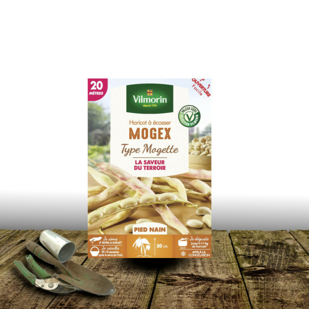 Graines de haricot nain à écosser mogex - vilmorin boite - 20 mètres