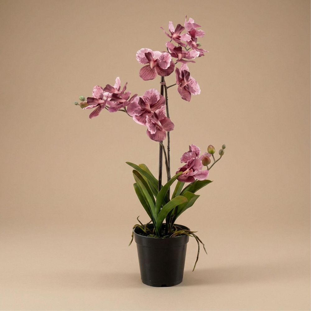 Orchidee vanda plante artificielle h60 cm