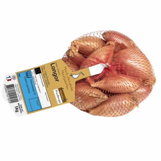 Longor echalotes a repiquer 500 gr