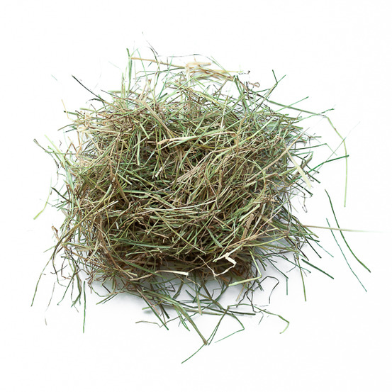 Foin de prairie pour lapins et rongeurs - 4 kg