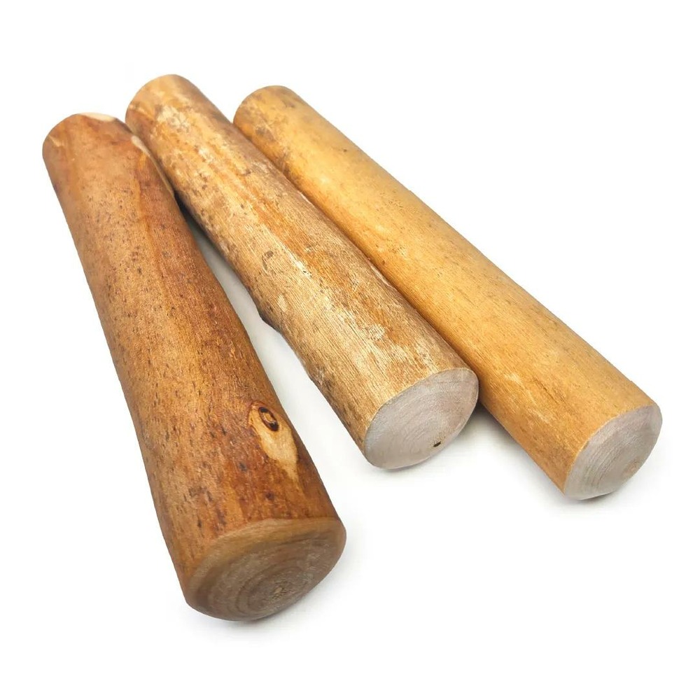 Pack découverte (3 bâtons) à mâcher en bois de cannelle de java, taille m, jouet exclusif et parfumé pour chien moyen (8-16kg)