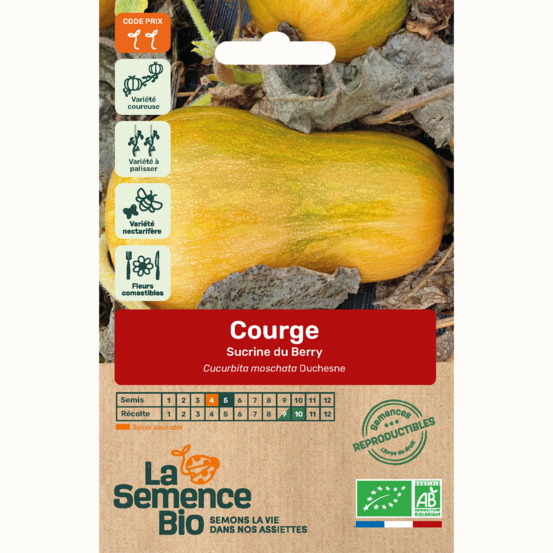 Courge sucrine du berry - graines bio