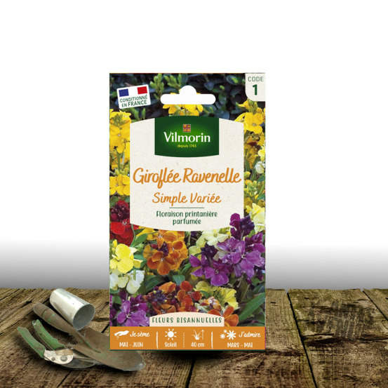 Graines de giroflée ravenelle variée - vilmorin sachet