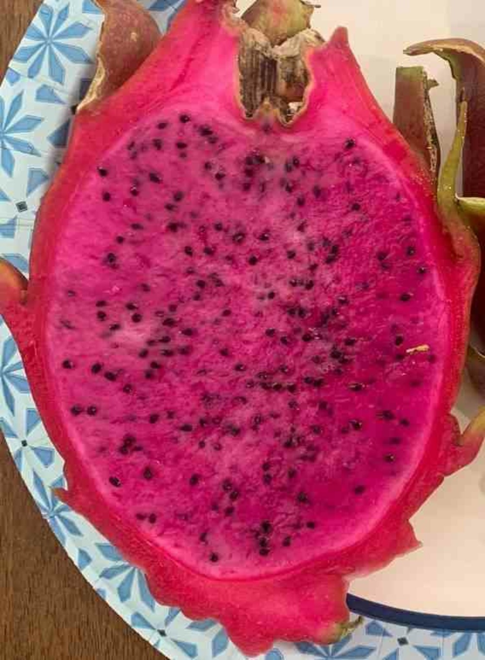 Pitaya : comète hylocereus halley (pitaya ou fruit du dragon)- pot de 4 litres - 30/50 cm