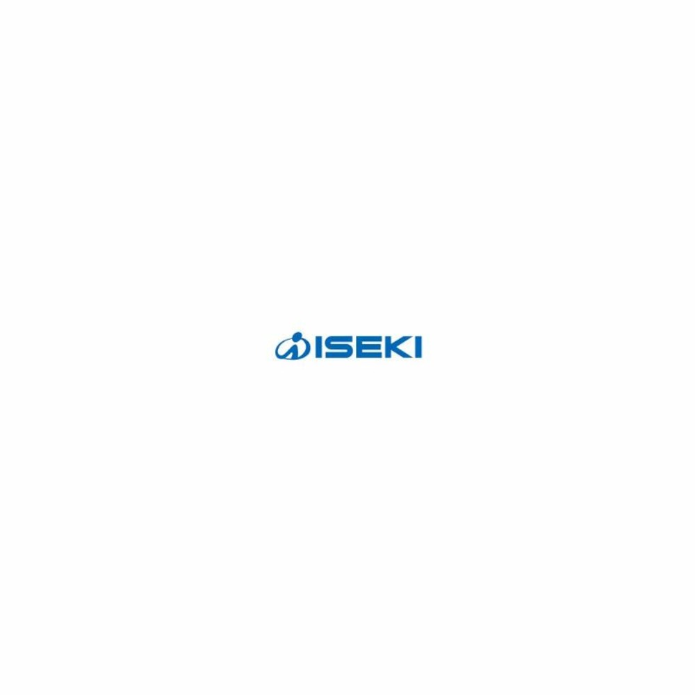 Bague - 142143303100 - iseki