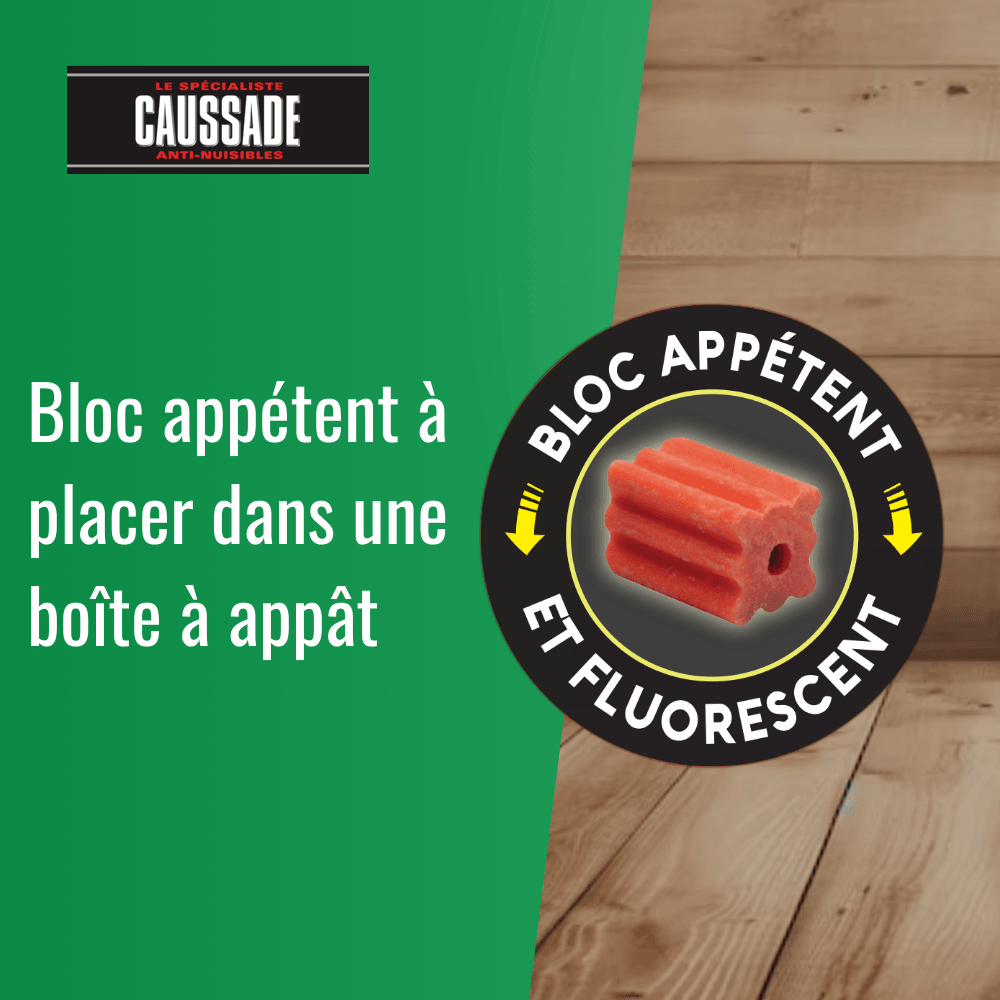Raticide Canadien - Anti Rats - Efficacité Radicale – Tous Lieux – 12 Appâts Blocs Pâtes Flocoumafen - Prêt à l'emploi - Au quotidien