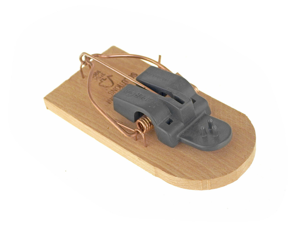 Tapette à souris en bois fsc supercat • contre les souris