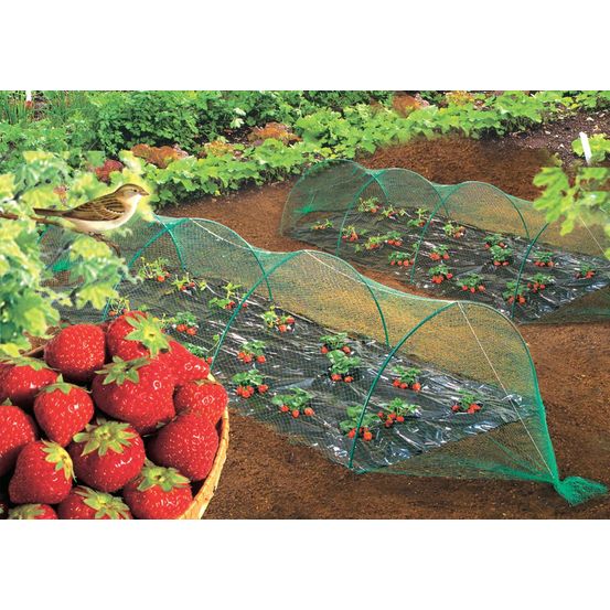 Filet classique protection - 10 m x 2 m