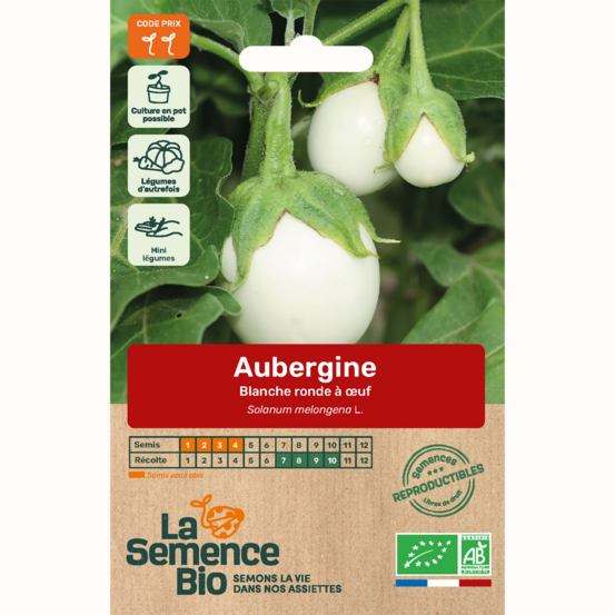 Aubergine blanche ronde à 'uf - graines bio