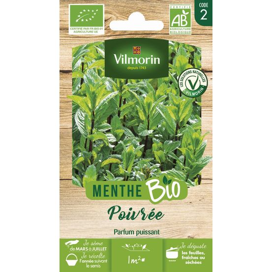 Menthe poivrée - bio