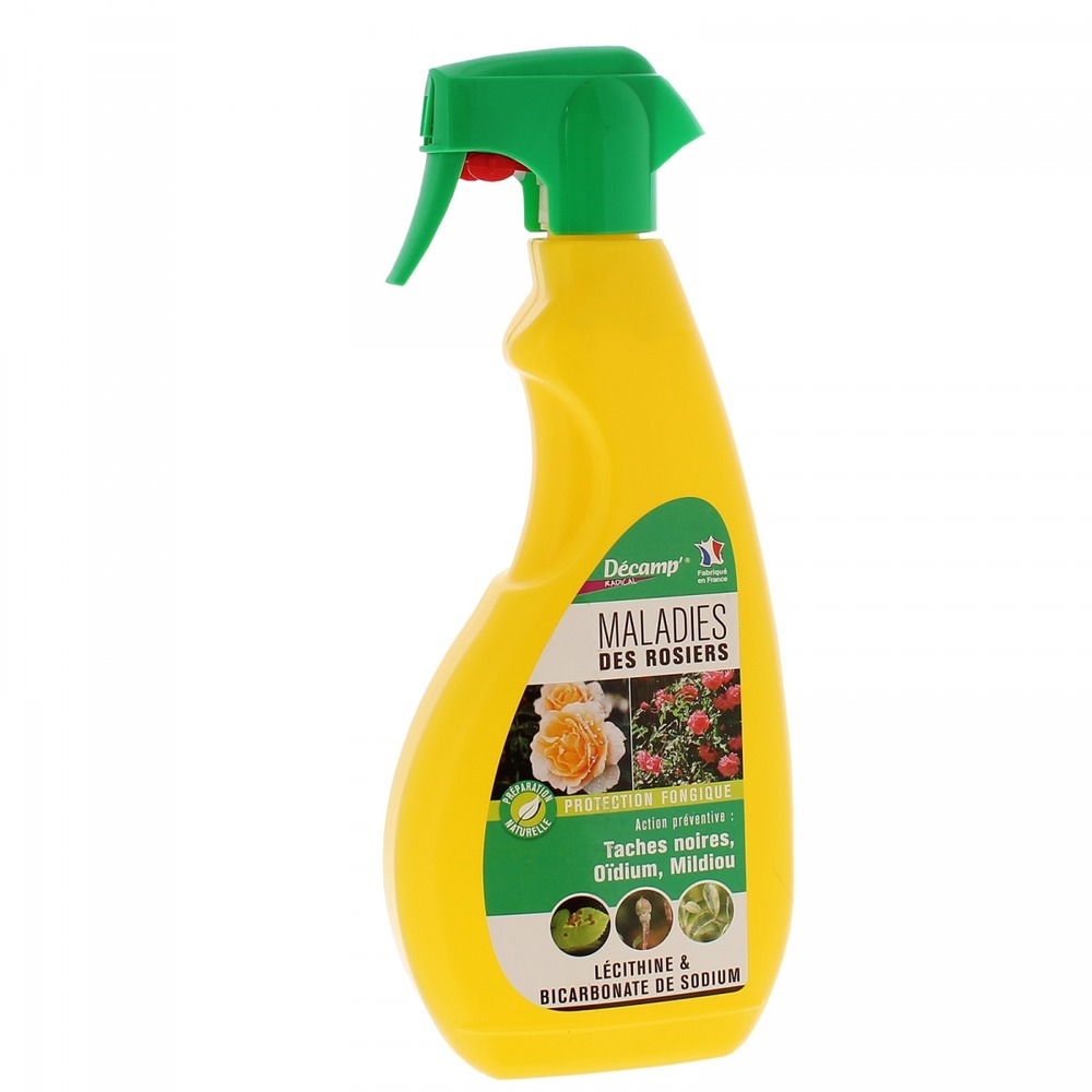 Traitement maladies des rosiers décamp radical