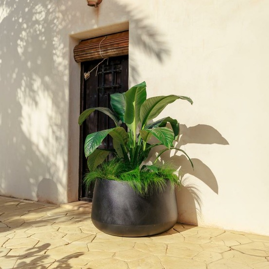 Pot Camelia 80 Noir