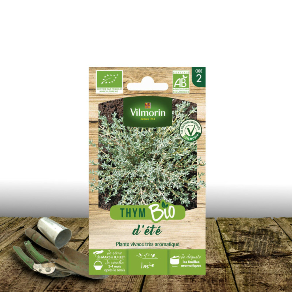 Graines de thym de provence - sans traitement - vilmorin sachet